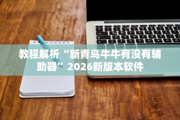 教程解析“新青鸟牛牛有没有辅助器”2026新版本软件
