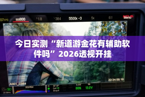 今日实测“新道游金花有辅助软件吗”2026透视开挂