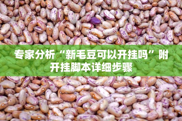专家分析“新毛豆可以开挂吗”附开挂脚本详细步骤