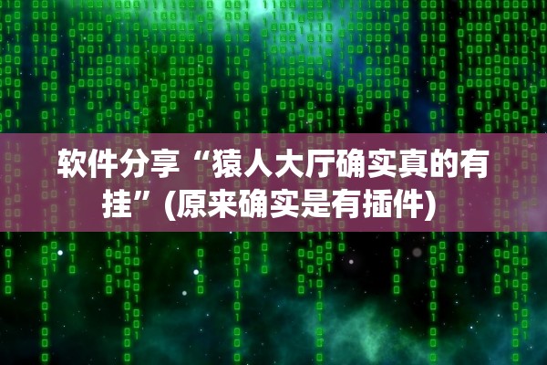 软件分享“猿人大厅确实真的有挂”(原来确实是有插件) 