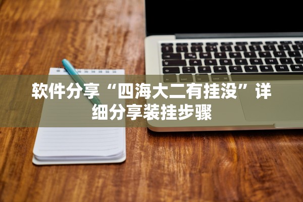 软件分享“四海大二有挂没”详细分享装挂步骤