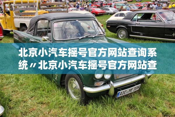 北京小汽车摇号官方网站查询系统〃北京小汽车摇号官方网站查询系统新能源指标怎么查结果