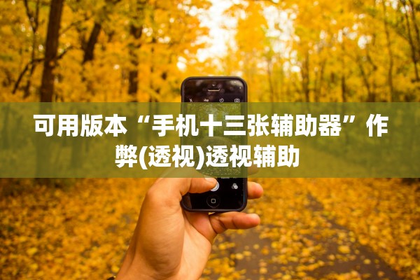 可用版本“手机十三张辅助器	”作弊(透视)透视辅助 