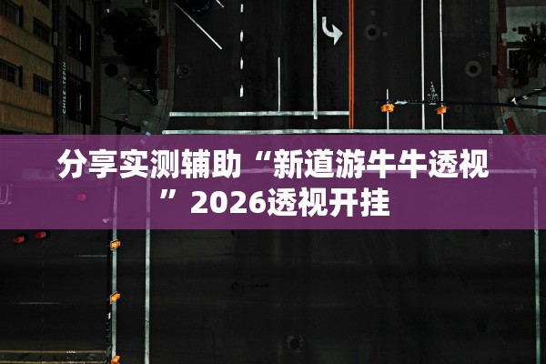 分享实测辅助“新道游牛牛透视”2026透视开挂