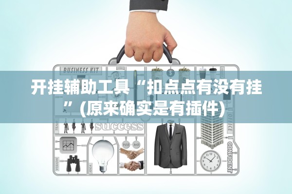 开挂辅助工具“扣点点有没有挂	”(原来确实是有插件) 