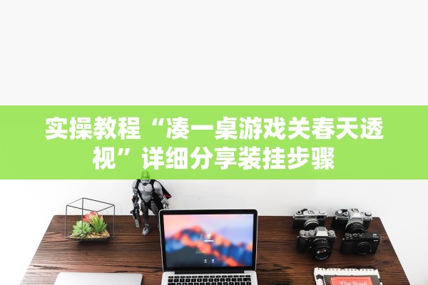 实操教程“凑一桌游戏关春天透视”详细分享装挂步骤