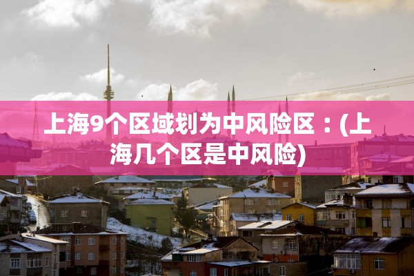 上海9个区域划为中风险区︰(上海几个区是中风险)