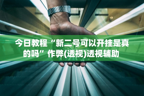 今日教程“新二号可以开挂是真的吗”作弊(透视)透视辅助 