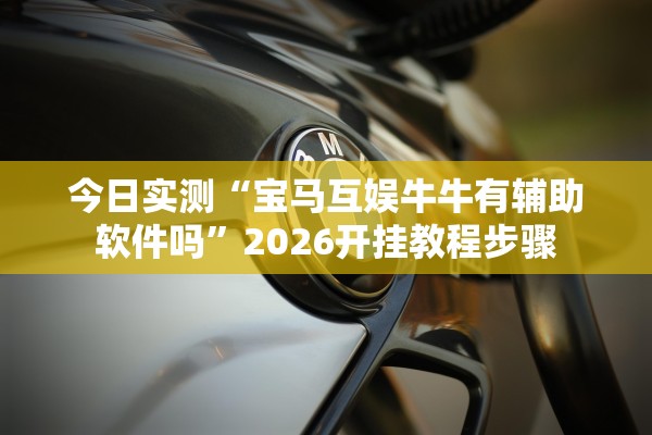 今日实测“宝马互娱牛牛有辅助软件吗”2026开挂教程步骤