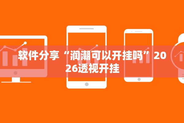 软件分享“润潮可以开挂吗”2026透视开挂