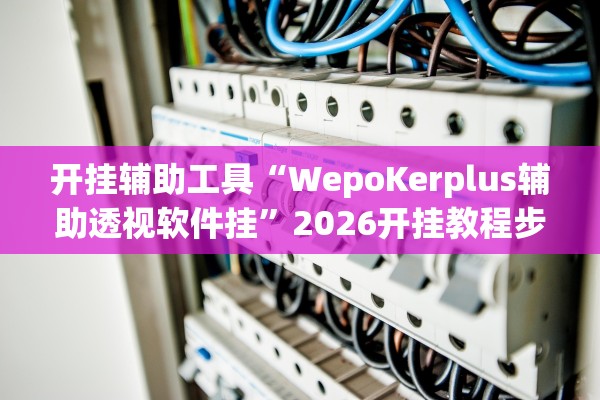 开挂辅助工具“WepoKerplus辅助透视软件挂”2026开挂教程步骤