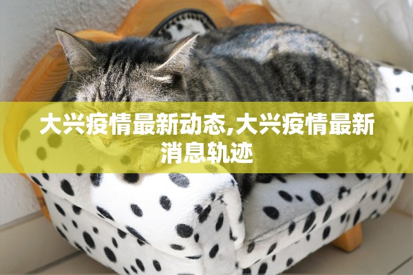 大兴疫情最新动态,大兴疫情最新消息轨迹 大兴疫情最新动态,大兴疫情最新消息轨迹