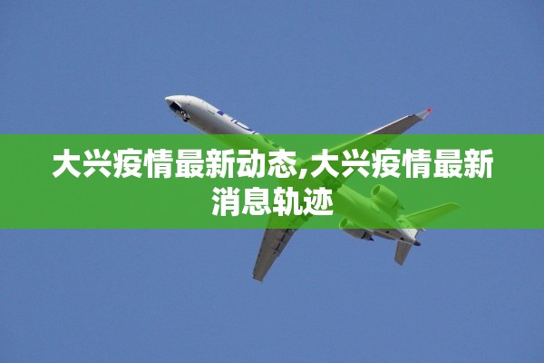 大兴疫情最新动态,大兴疫情最新消息轨迹 大兴疫情最新动态,大兴疫情最新消息轨迹