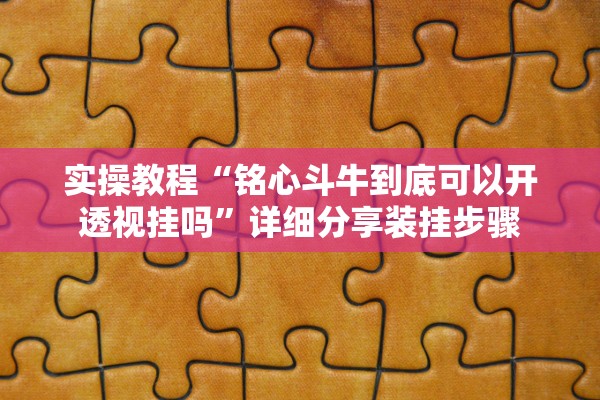 实操教程“铭心斗牛到底可以开透视挂吗”详细分享装挂步骤