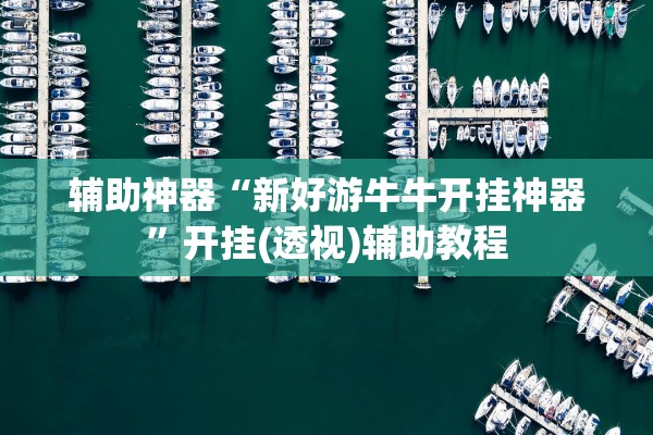 辅助神器“新好游牛牛开挂神器”开挂(透视)辅助教程