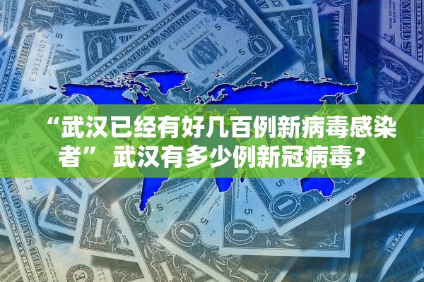 “武汉已经有好几百例新病毒感染者” 武汉有多少例新冠病毒？