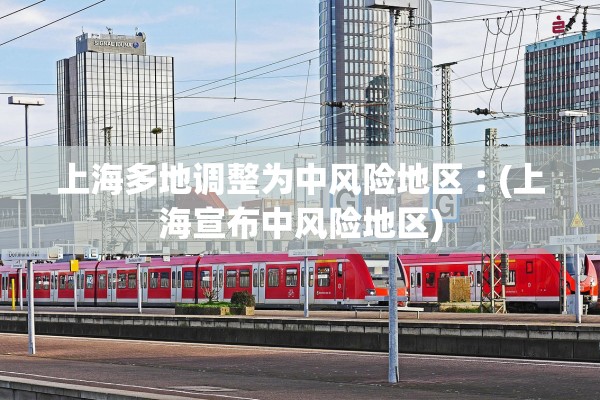 上海多地调整为中风险地区︰(上海宣布中风险地区) 上海多地调整为中风险地区︰(上海宣布中风险地区)