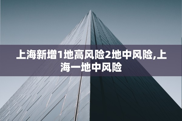 上海新增1地高风险2地中风险,上海一地中风险 上海新增1地高风险2地中风险,上海一地中风险