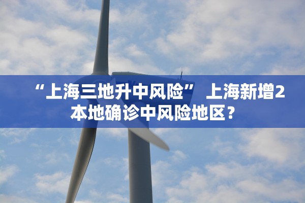 “上海三地升中风险” 上海新增2本地确诊中风险地区？