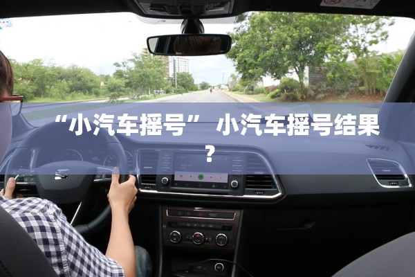 “小汽车摇号	” 小汽车摇号结果？