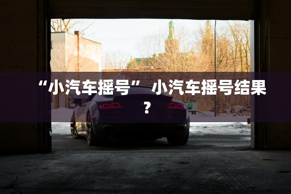 “小汽车摇号” 小汽车摇号结果？