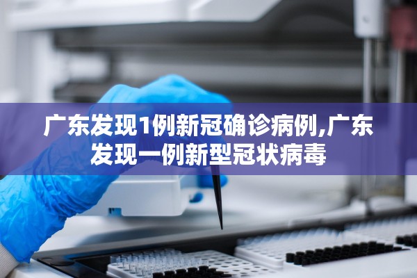 广东发现1例新冠确诊病例,广东发现一例新型冠状病毒