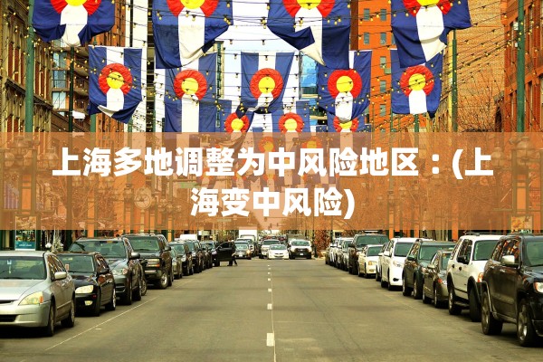 上海多地调整为中风险地区︰(上海变中风险) 上海多地调整为中风险地区︰(上海变中风险)